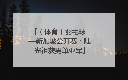 （体育）羽毛球——新加坡公开赛：陆光祖获男单亚军