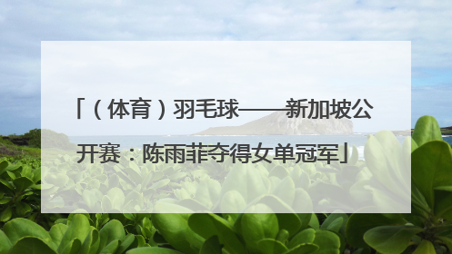 （体育）羽毛球——新加坡公开赛：陈雨菲夺得女单冠军