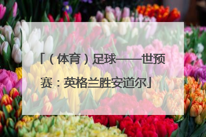 （体育）足球——世预赛：英格兰胜安道尔
