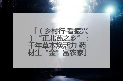 （乡村行·看振兴）“正北芪之乡”：千年草本焕活力 药材生“金”富农家
