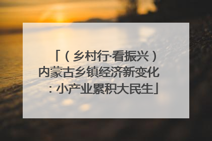 （乡村行·看振兴）内蒙古乡镇经济新变化：小产业累积大民生