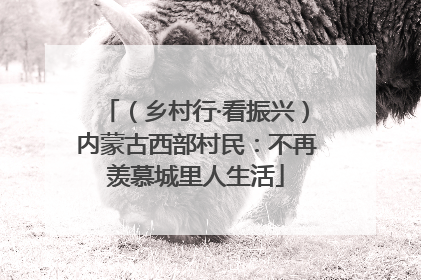 （乡村行·看振兴）内蒙古西部村民：不再羡慕城里人生活