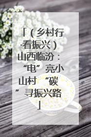 （乡村行·看振兴）山西临汾：“电”亮小山村 “碳”寻振兴路