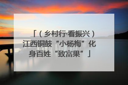 （乡村行·看振兴）江西铜鼓“小杨梅”化身百姓“致富果”