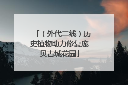 （外代二线）历史植物助力修复庞贝古城花园