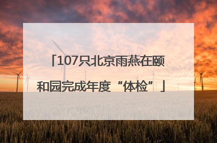 107只北京雨燕在颐和园完成年度“体检”