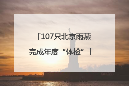 107只北京雨燕完成年度“体检”