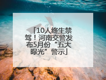 10人终生禁驾！河南交警发布5月份“五大曝光”警示