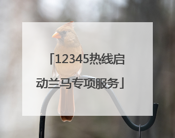 12345热线启动兰马专项服务