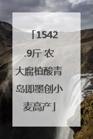 1542.9斤 农大腐植酸青岛即墨创小麦高产