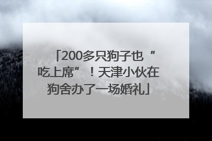 200多只狗子也“吃上席”！天津小伙在狗舍办了一场婚礼