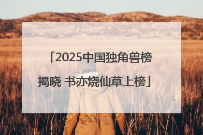 2025中国独角兽榜揭晓 书亦烧仙草上榜