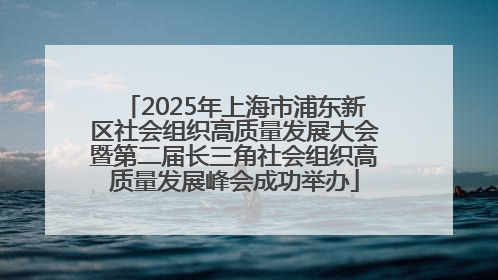 2025年上海市浦东新区社会组织高质量发展大会暨第二届长三角社会组织高质量发展峰会成功举办