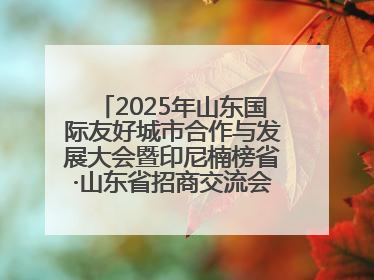 2025年山东国际友好城市合作与发展大会暨印尼楠榜省·山东省招商交流会在济南槐荫举行