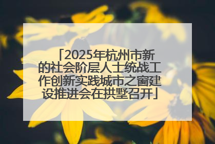 2025年杭州市新的社会阶层人士统战工作创新实践城市之窗建设推进会在拱墅召开