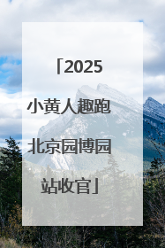2025小黄人趣跑北京园博园站收官