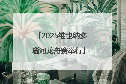 2025维也纳多瑙河龙舟赛举行