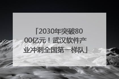 2030年突破8000亿元！武汉软件产业冲刺全国第一梯队