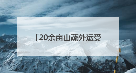 20余亩山蔬外运受阻 无人机极限飞行8小时转运6吨蔬菜