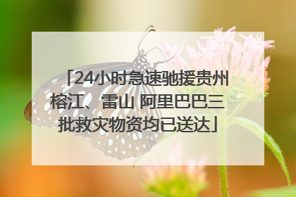 24小时急速驰援贵州榕江、雷山 阿里巴巴三批救灾物资均已送达