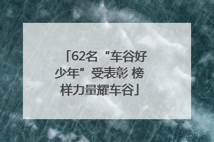 62名“车谷好少年”受表彰 榜样力量耀车谷