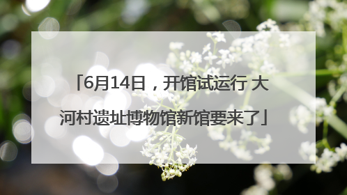 6月14日，开馆试运行 大河村遗址博物馆新馆要来了