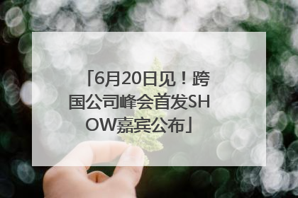 6月20日见！跨国公司峰会首发SHOW嘉宾公布