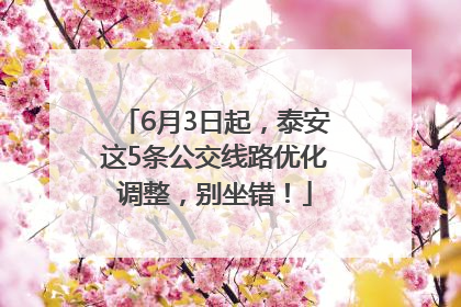 6月3日起，泰安这5条公交线路优化调整，别坐错！