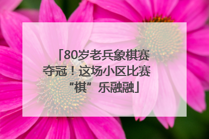 80岁老兵象棋赛夺冠！这场小区比赛“棋”乐融融