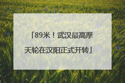 89米！武汉最高摩天轮在汉阳正式开转