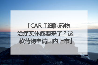 CAR-T细胞药物治疗实体瘤要来了？这款药物申请国内上市