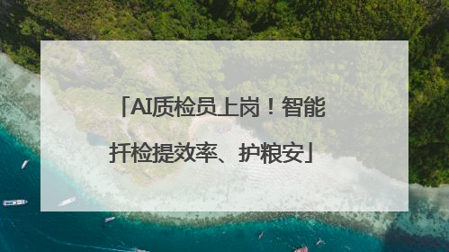 AI质检员上岗！智能扦检提效率、护粮安